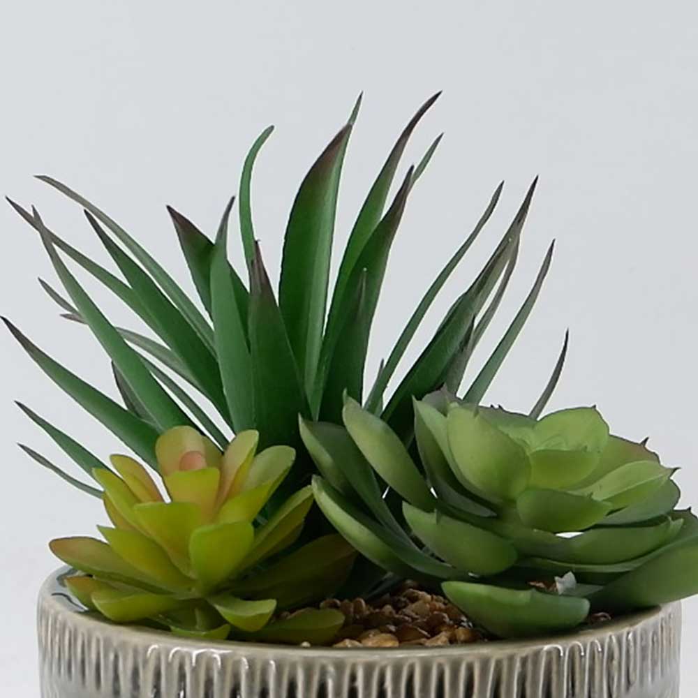 MC22-12126P 8.5＂H Succulent