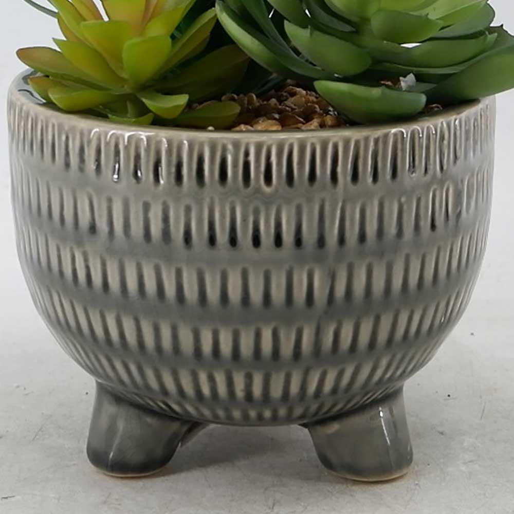 MC22-12126P 8.5＂H Succulent