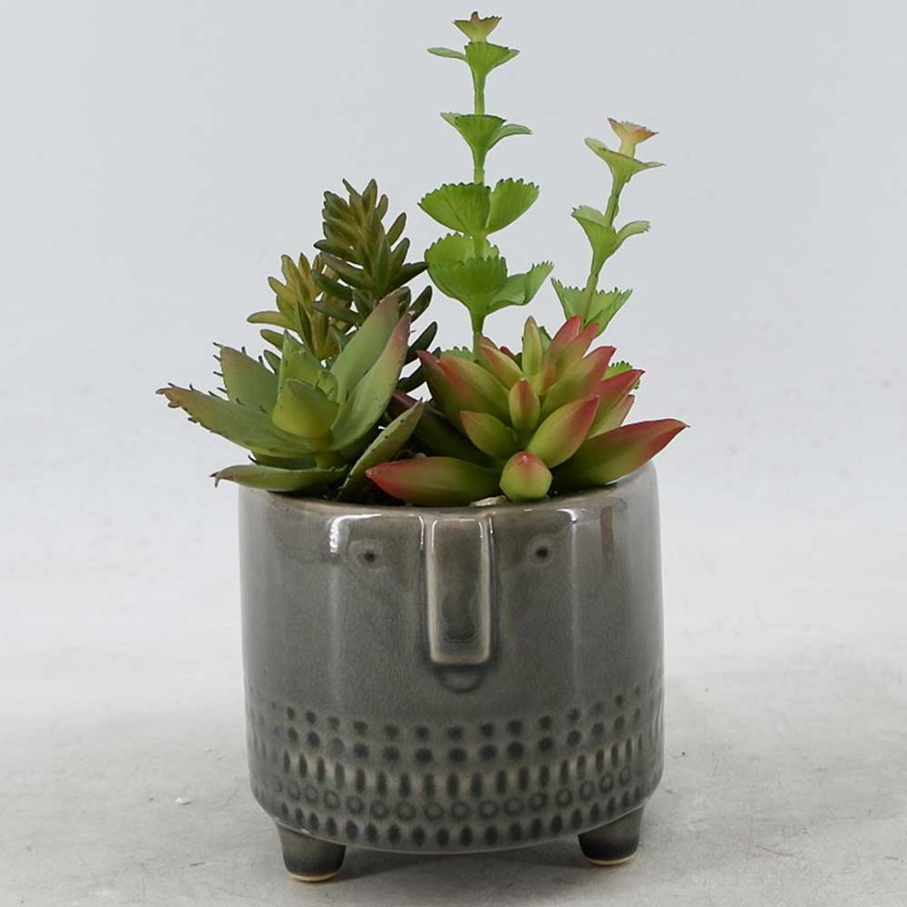 MC22-12229P 8.5＂H Succulent