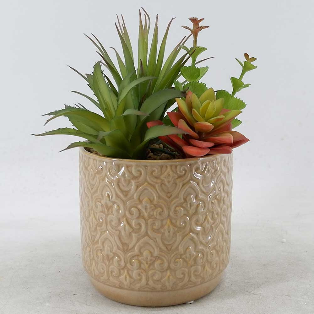 MC22-12232P 9.5＂H Succulent