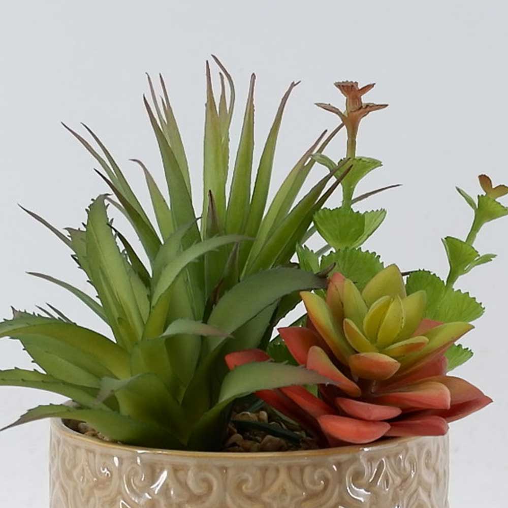 MC22-12232P 9.5＂H Succulent