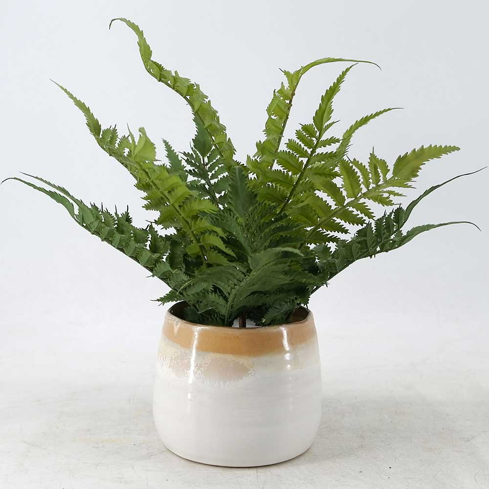 MC20-8835P 12＂H Fern