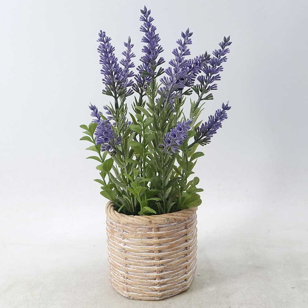 MC21-9943S 12＂H Lavender