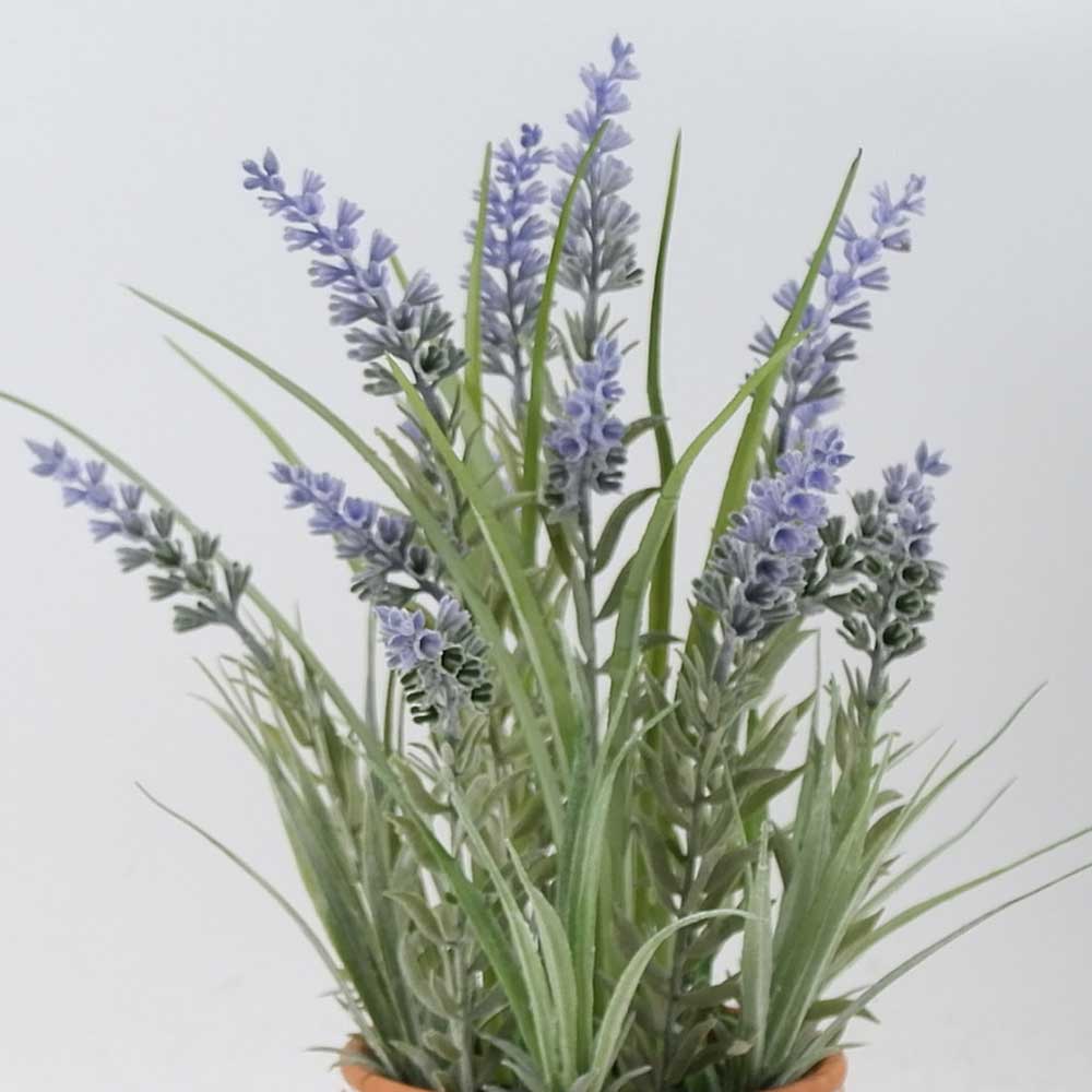 MC21-10827P 16＂H Lavender