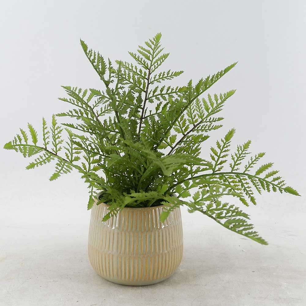 MC21-10991P 12＂H Fern