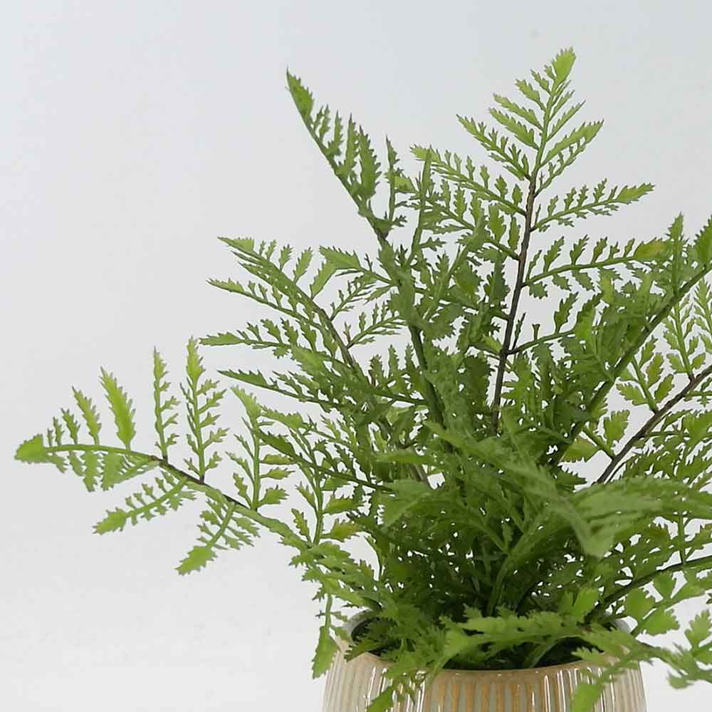 MC21-10991P 12＂H Fern