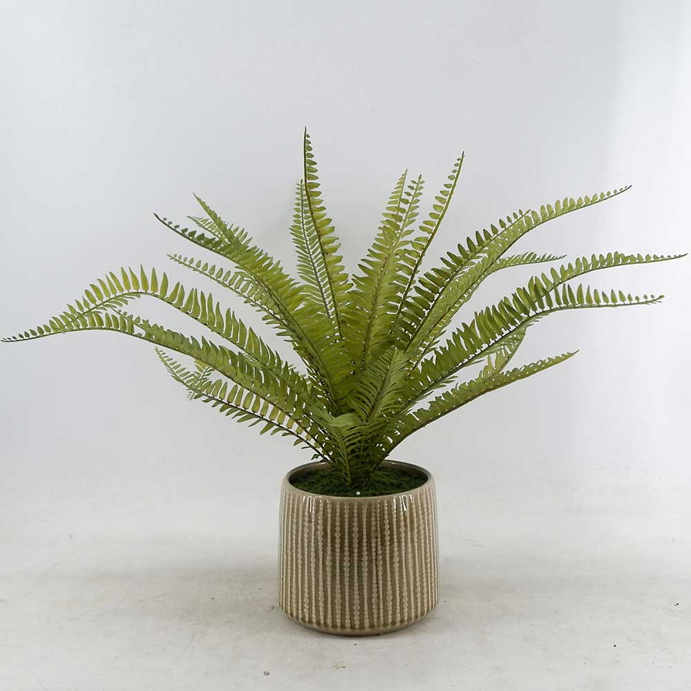 MC21-11013P 18＂H Fern