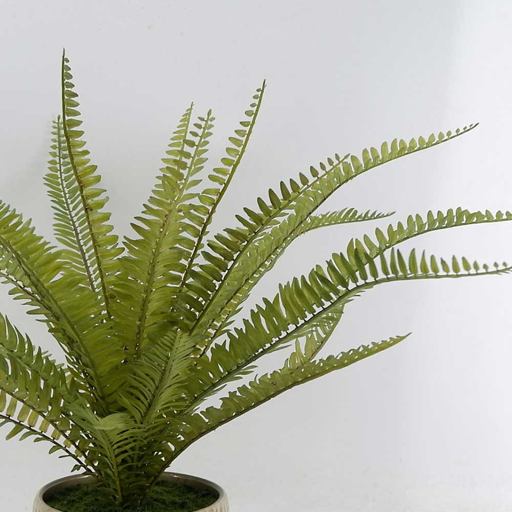 MC21-11013P 18＂H Fern