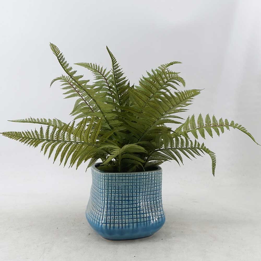 MC21-11014P 13＂H Fern