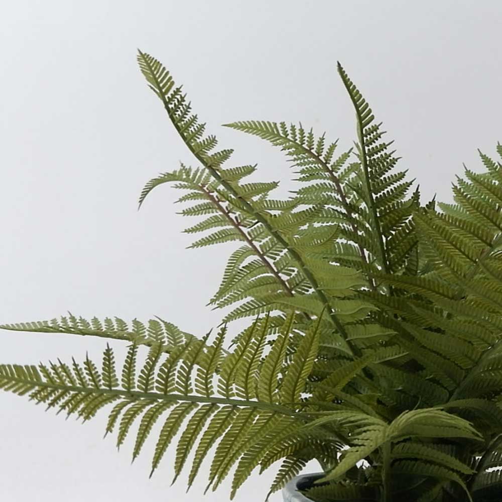 MC21-11014P 13＂H Fern