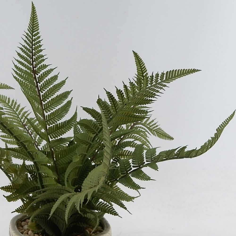 MC21-11015P 12.5＂H Fern