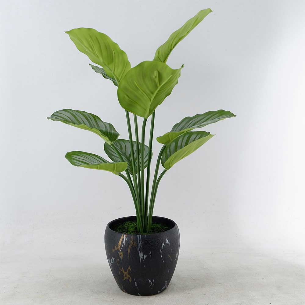 MC22-12097P 19＂H Monstera