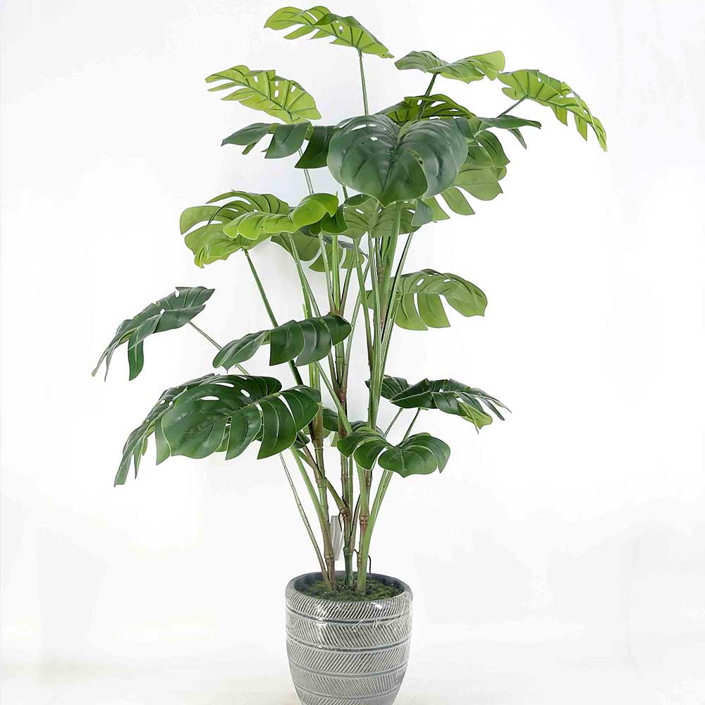 MC19-7037S 46＂H Monstera tree