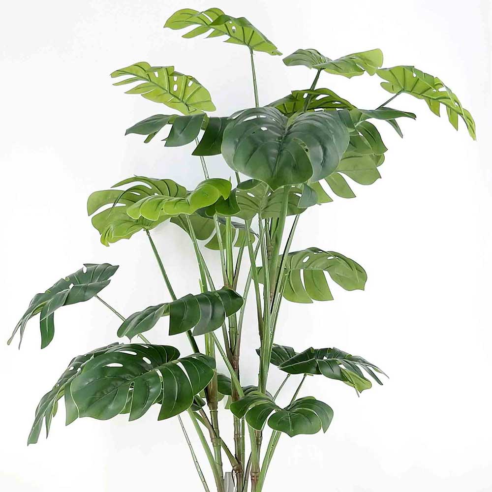 MC19-7037S 46＂H Monstera tree