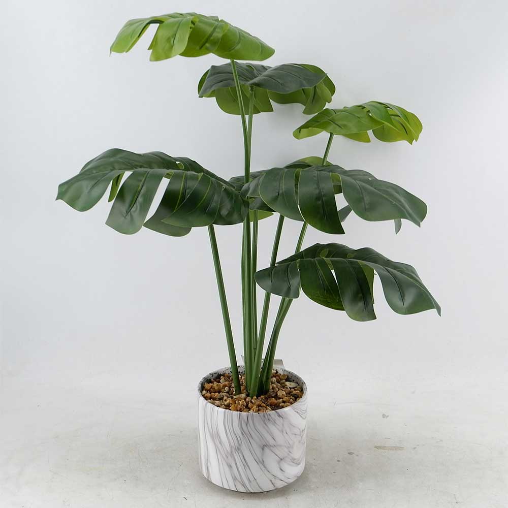 MC20-8808P 25＂H Monstera tree