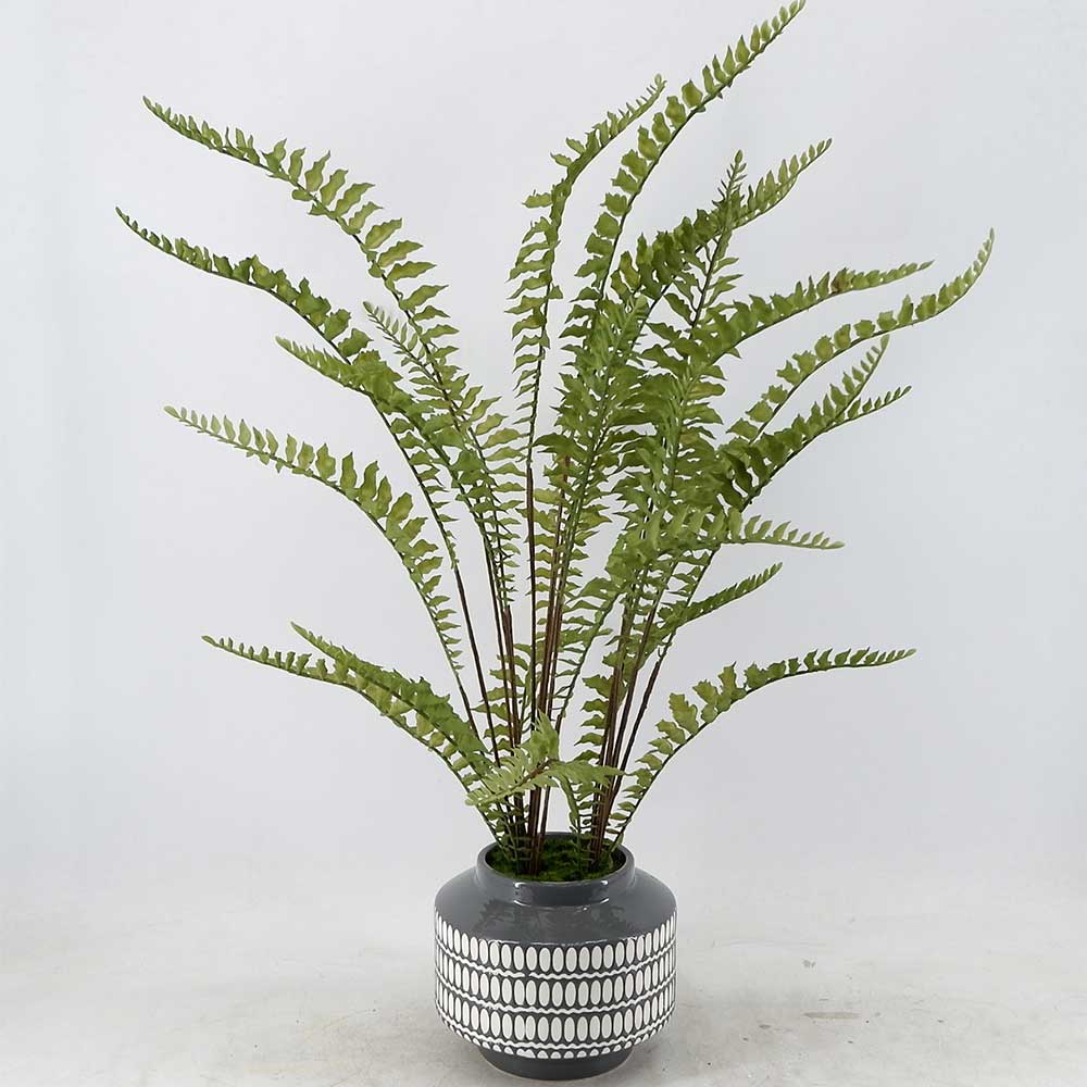 MC20-8846P 29＂H Fern Tree