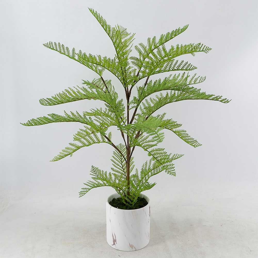 MC20-9242P 24＂H Fern