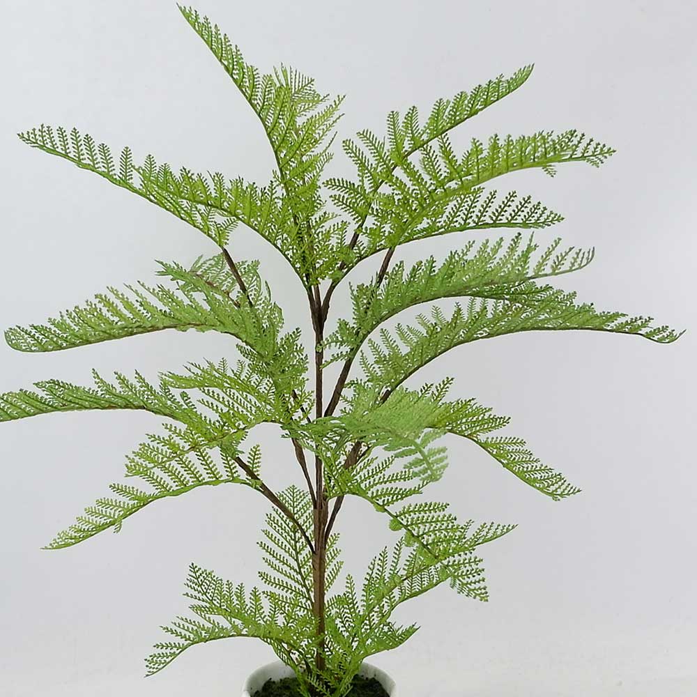 MC20-9242P 24＂H Fern