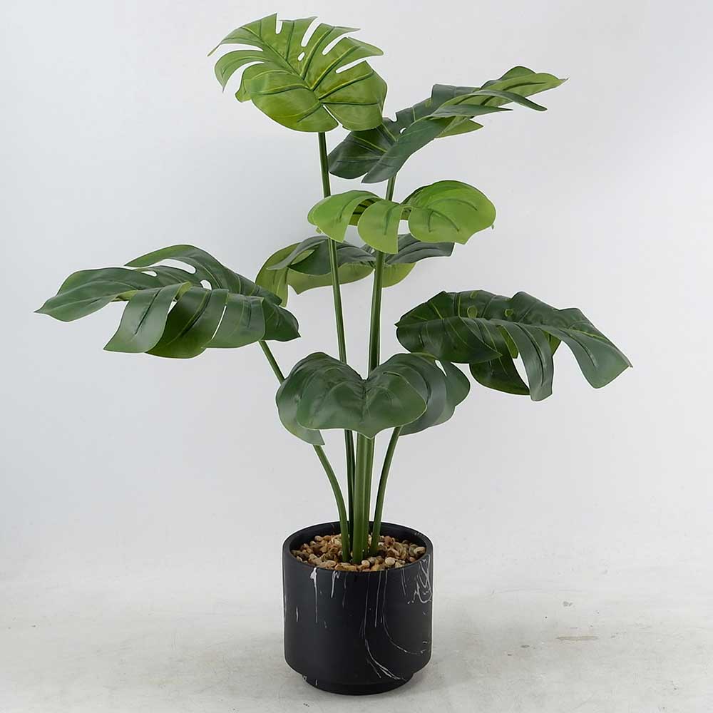 MC20-9290P 25＂H Monstera tree