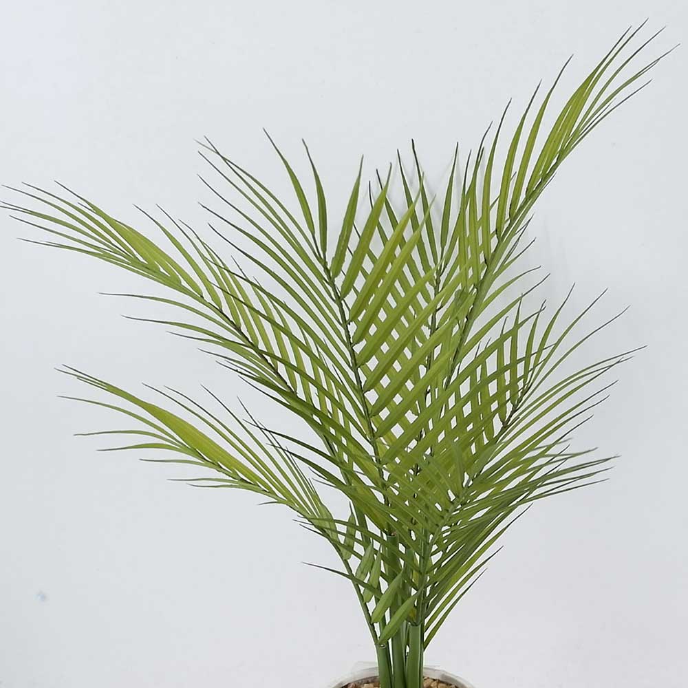 MC20-9311P-M 24.5＂H Fern