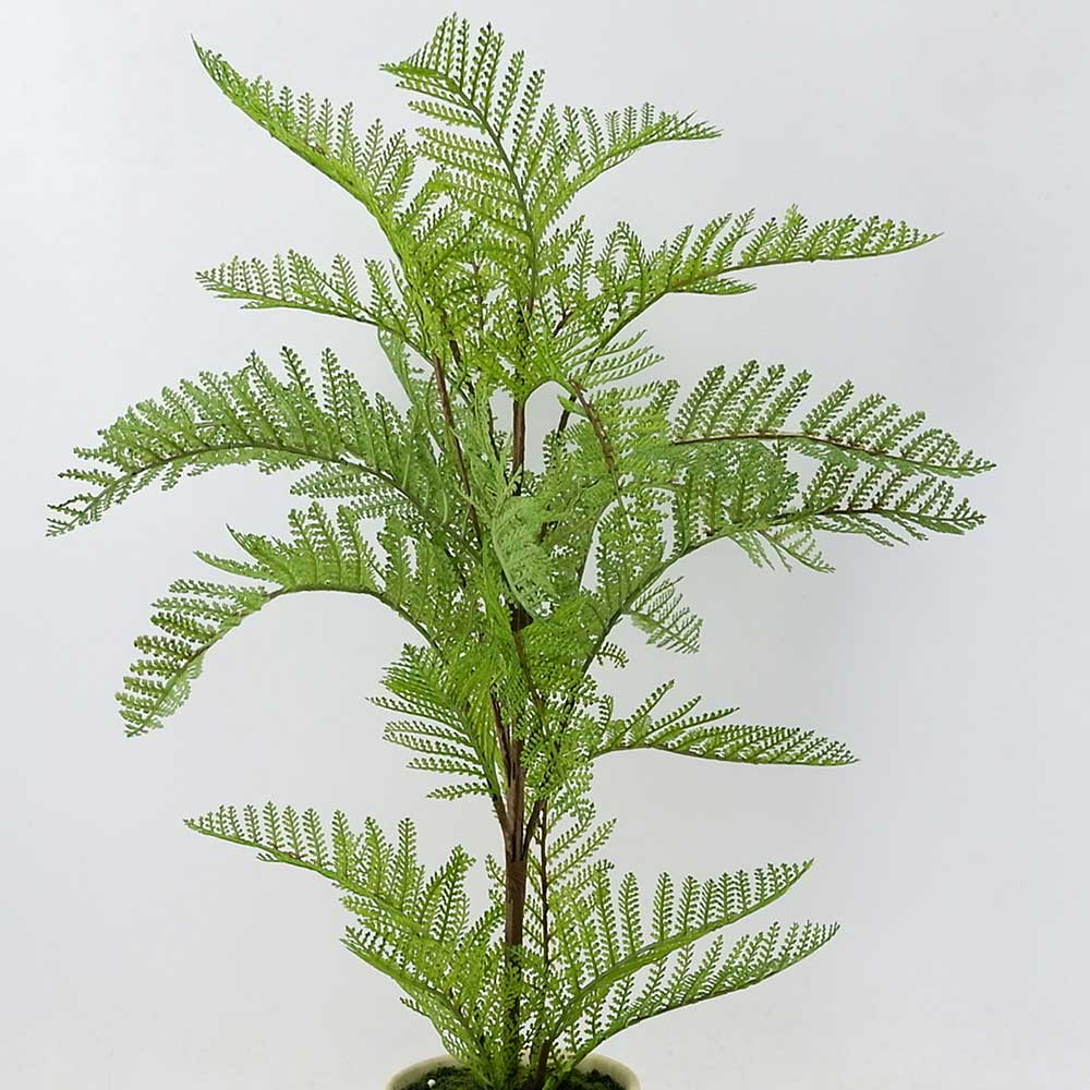 MC20-9455P 24＂H Fern