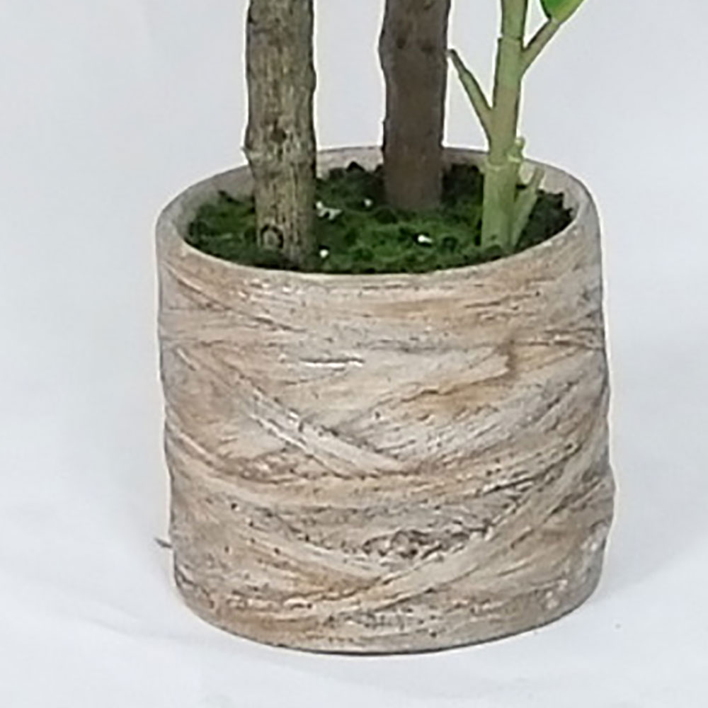 MC20-9687S 39＂H Ficus lyrata