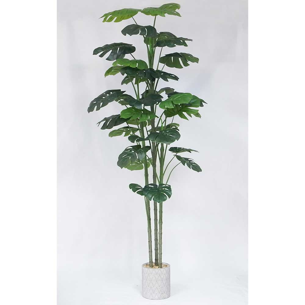 MC20-9686S 74＂H Monstera