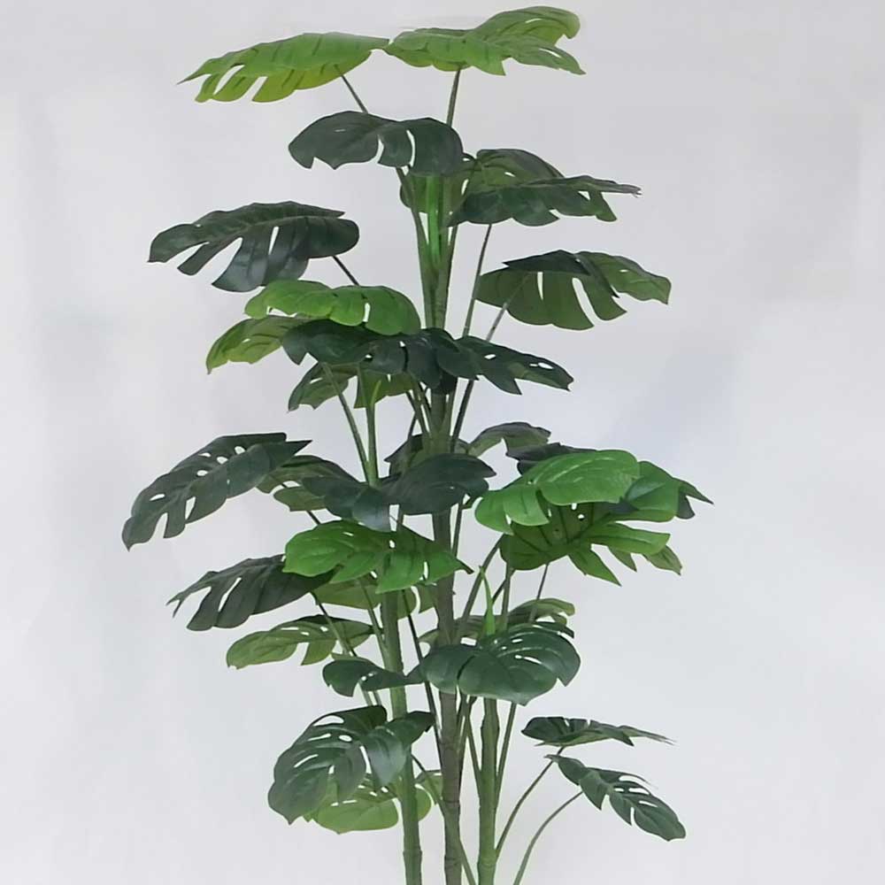 MC20-9686S 74＂H Monstera