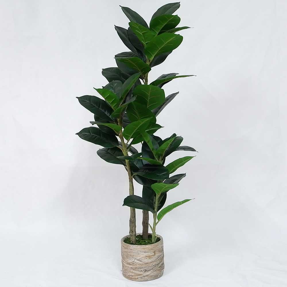 MC20-9687S 39＂H Ficus lyrata