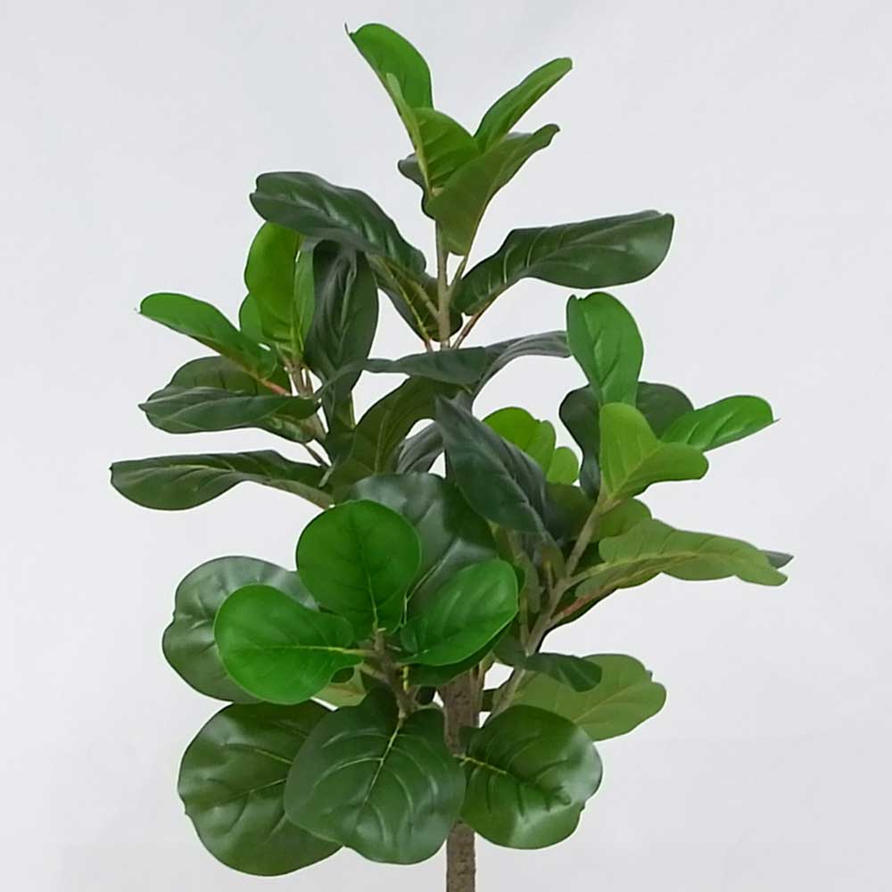 MC20-9689S 41.5＂H Ficus lyrata