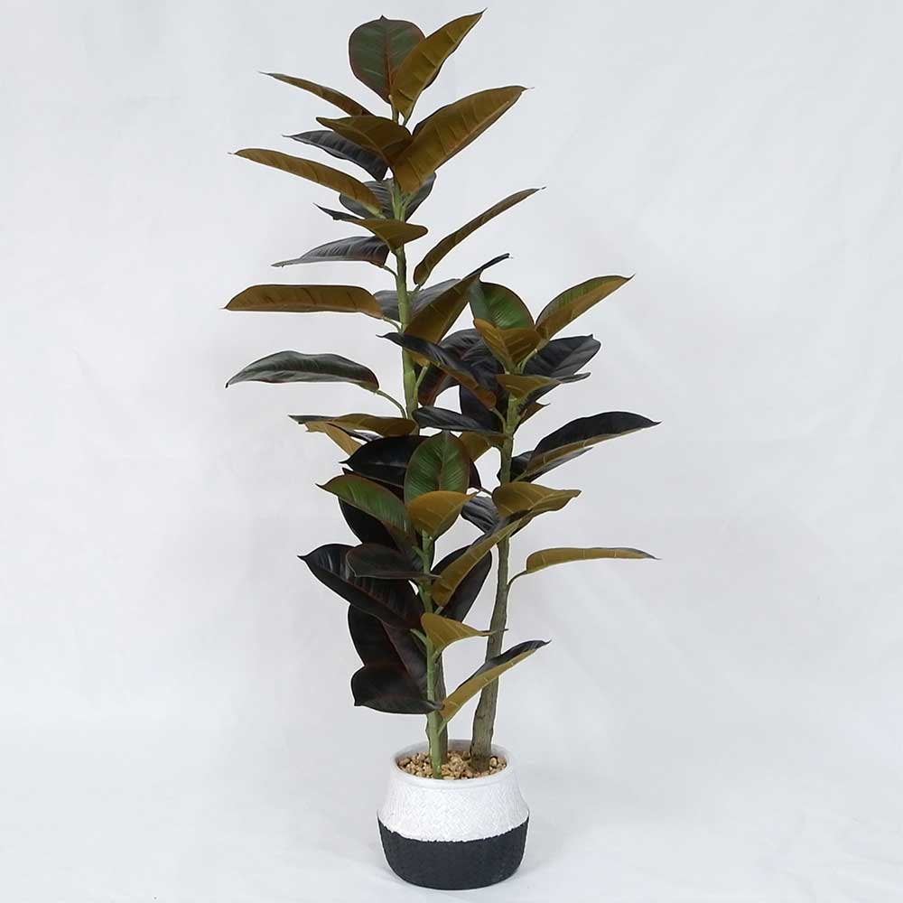 MC20-9693S 39＂H Ficus lyrata