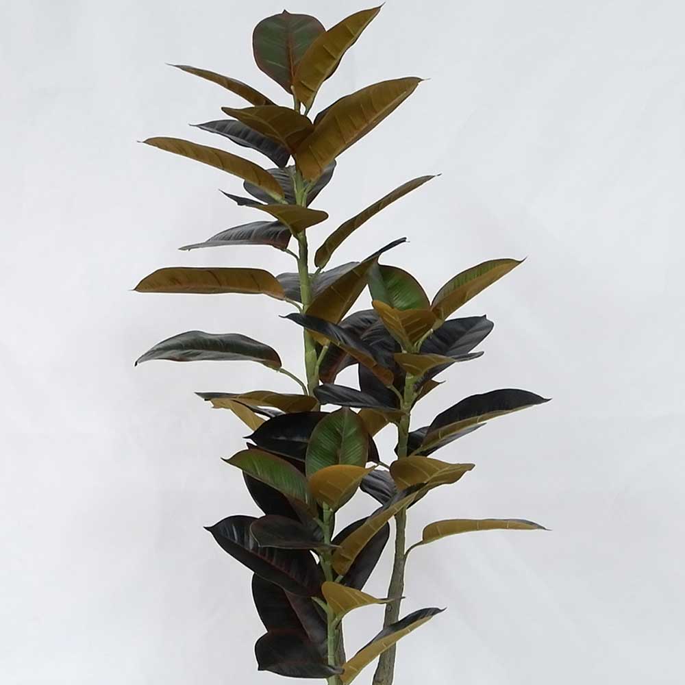 MC20-9693S 39＂H Ficus lyrata