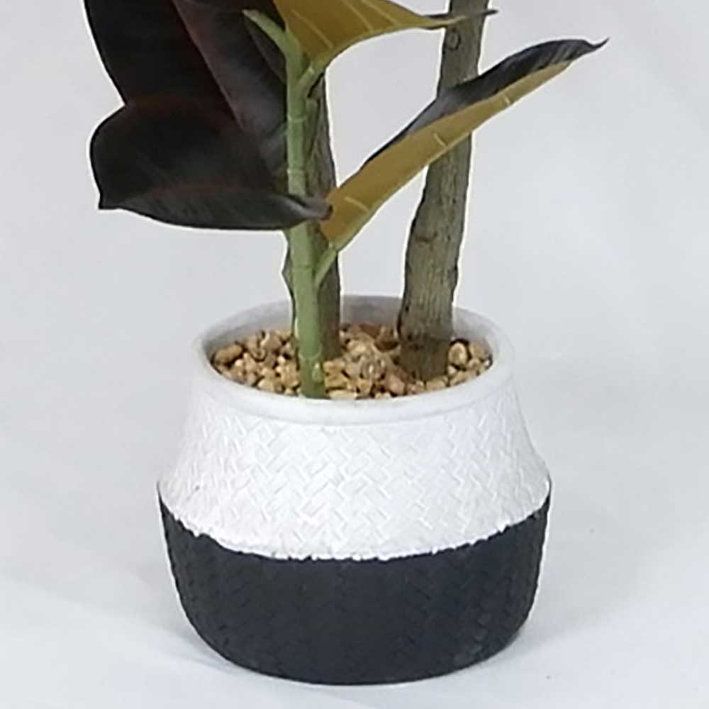 MC20-9693S 39＂H Ficus lyrata