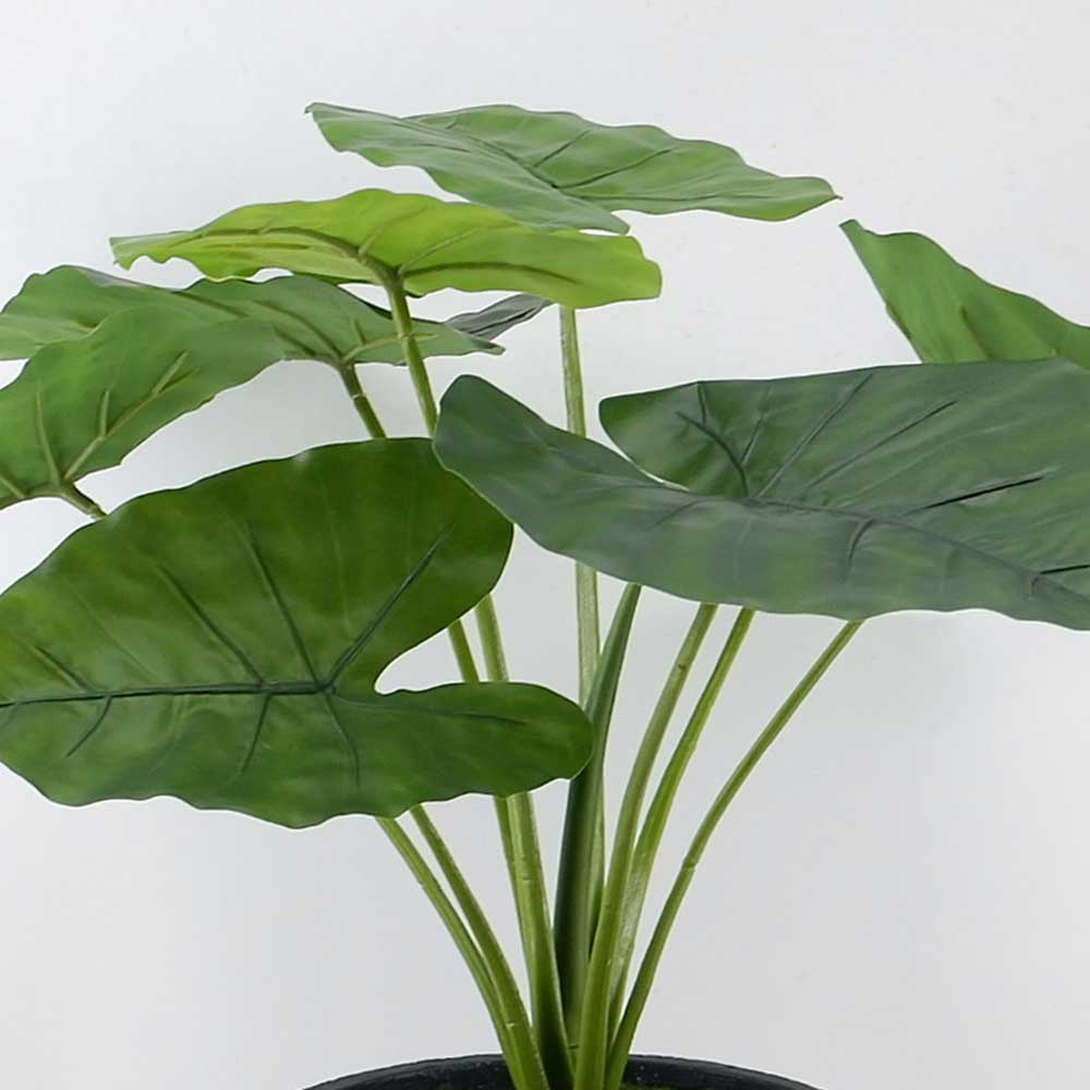 MC21-10276SZ 27＂H Taro leaves