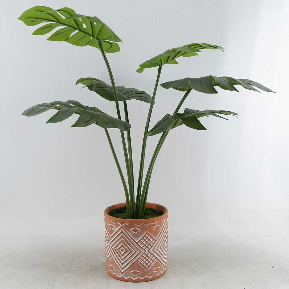 MC21-11012P 20.5＂H Monstera