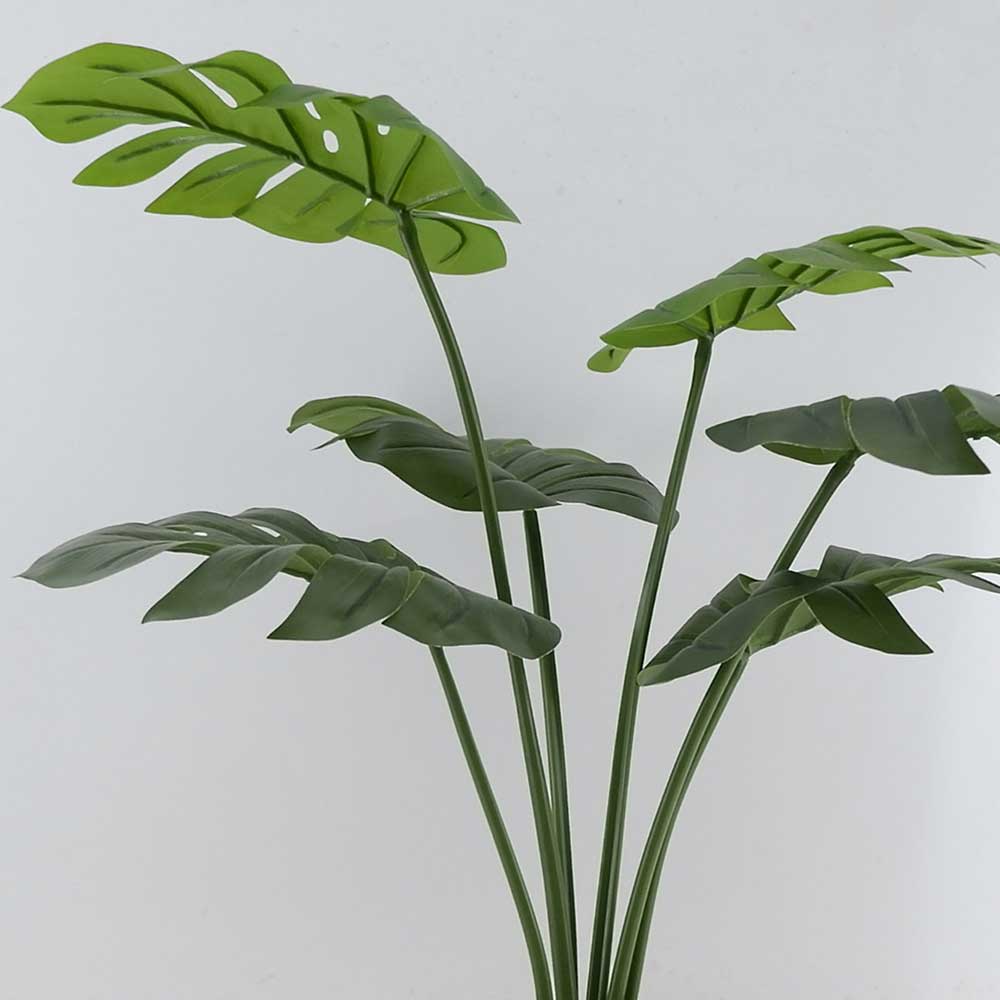 MC21-11012P 20.5＂H Monstera