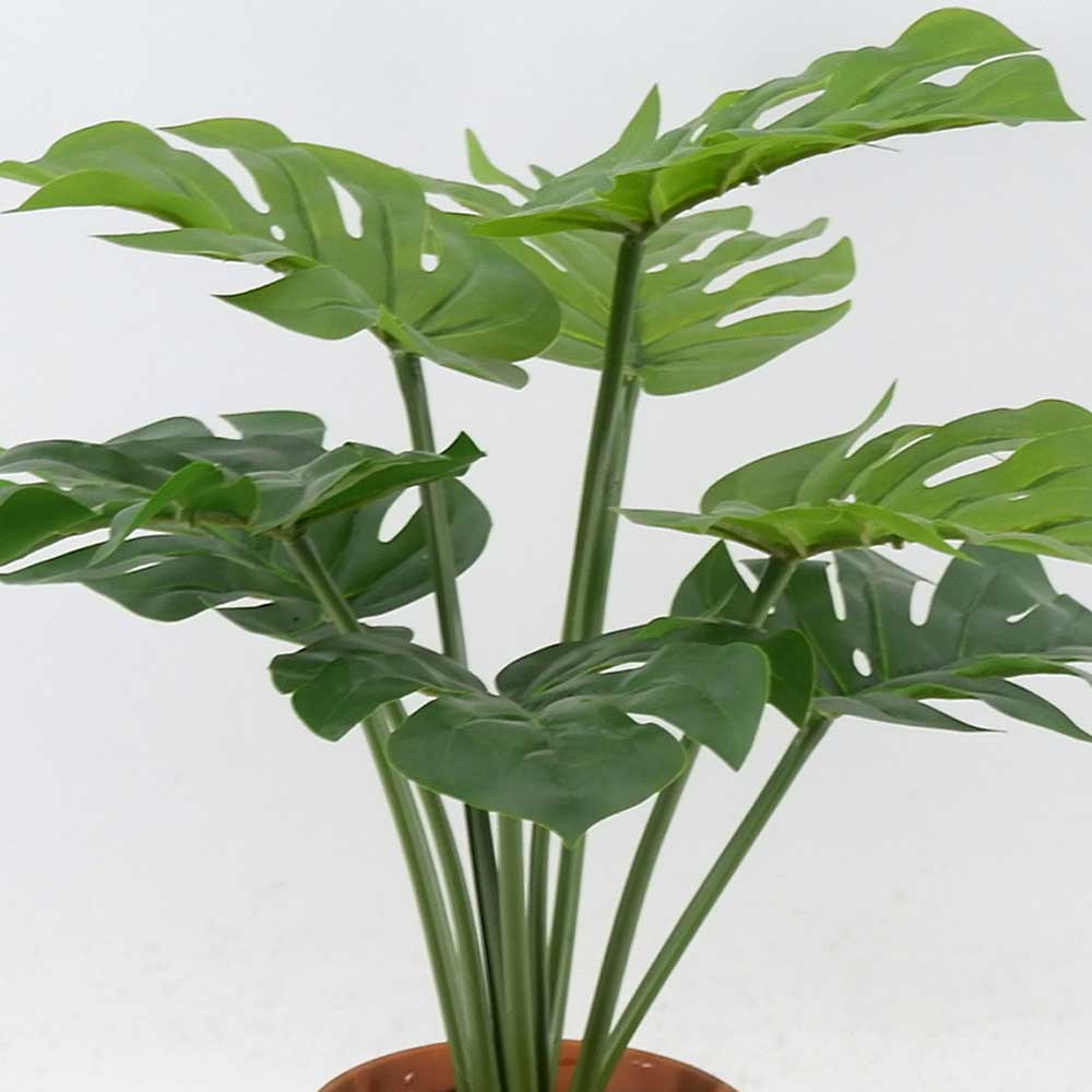 MC21-11051P 17＂H Monstera