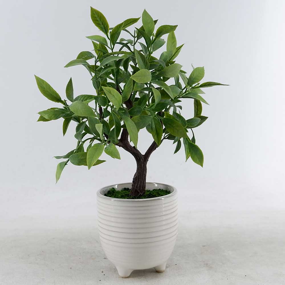 MC22-12109P 12.5＂H Mini tree