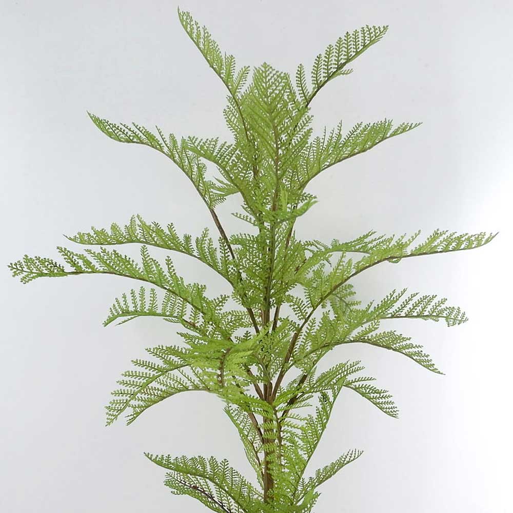 MC22-12221J 26＂H Fern