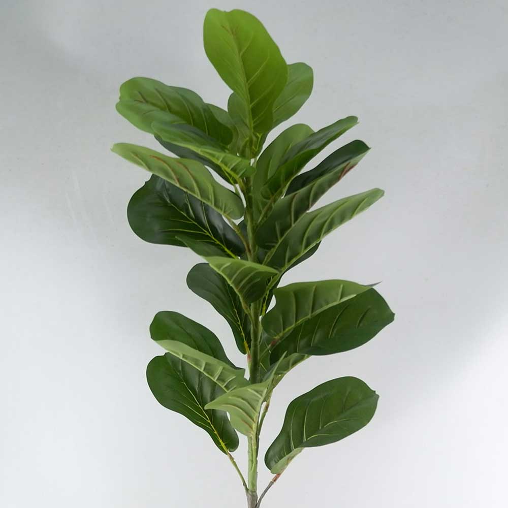 MC22-12459S 39.5＂H Ficus lyrata