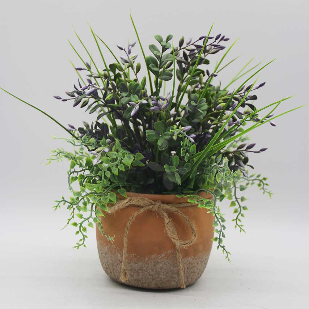 MC3464 Grass in Pot