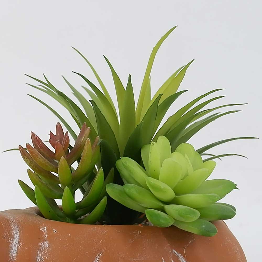 MC19-7554S 7.5＂H Succulent