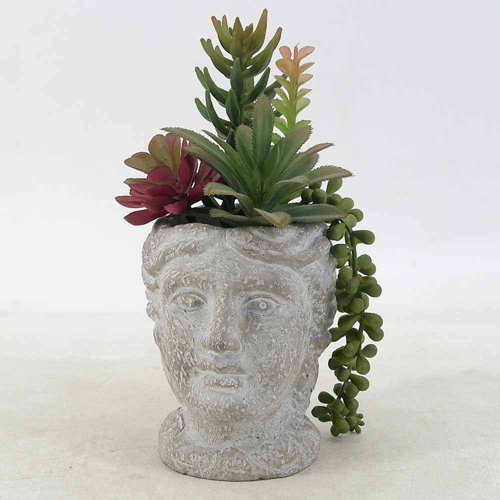 MC19-7555S 10＂H Mixed succulent