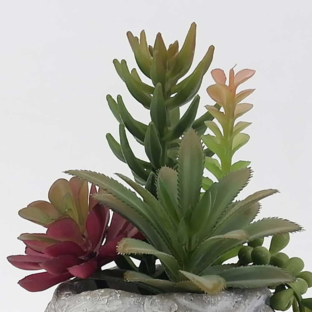 MC19-7555S 10＂H Mixed succulent