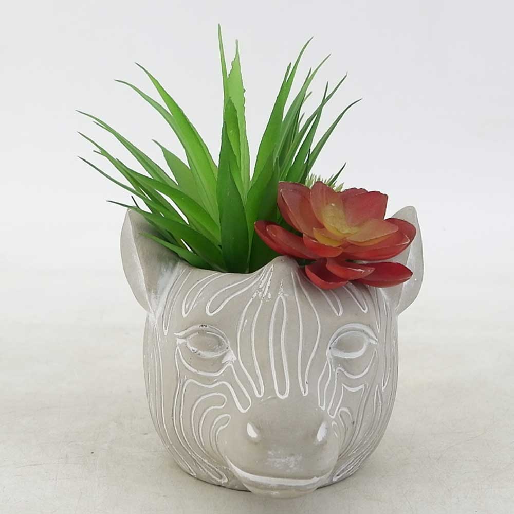 MC19-7558S 7＂H Succulent