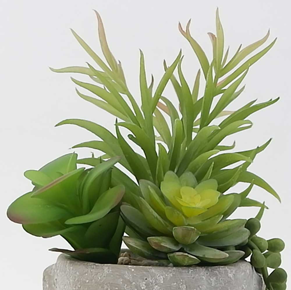 MC19-7559S 10.5＂H Mixed succulent