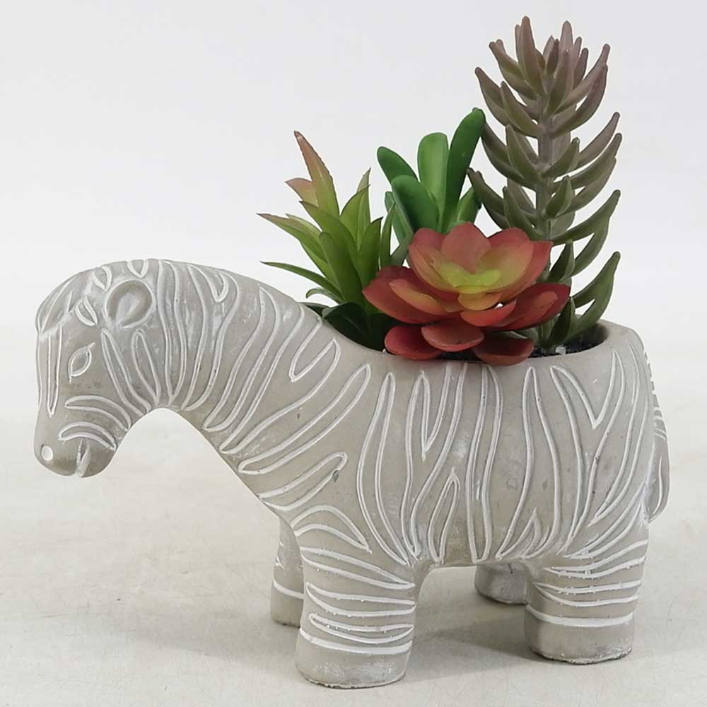 MC19-7560S 8＂H Succulent