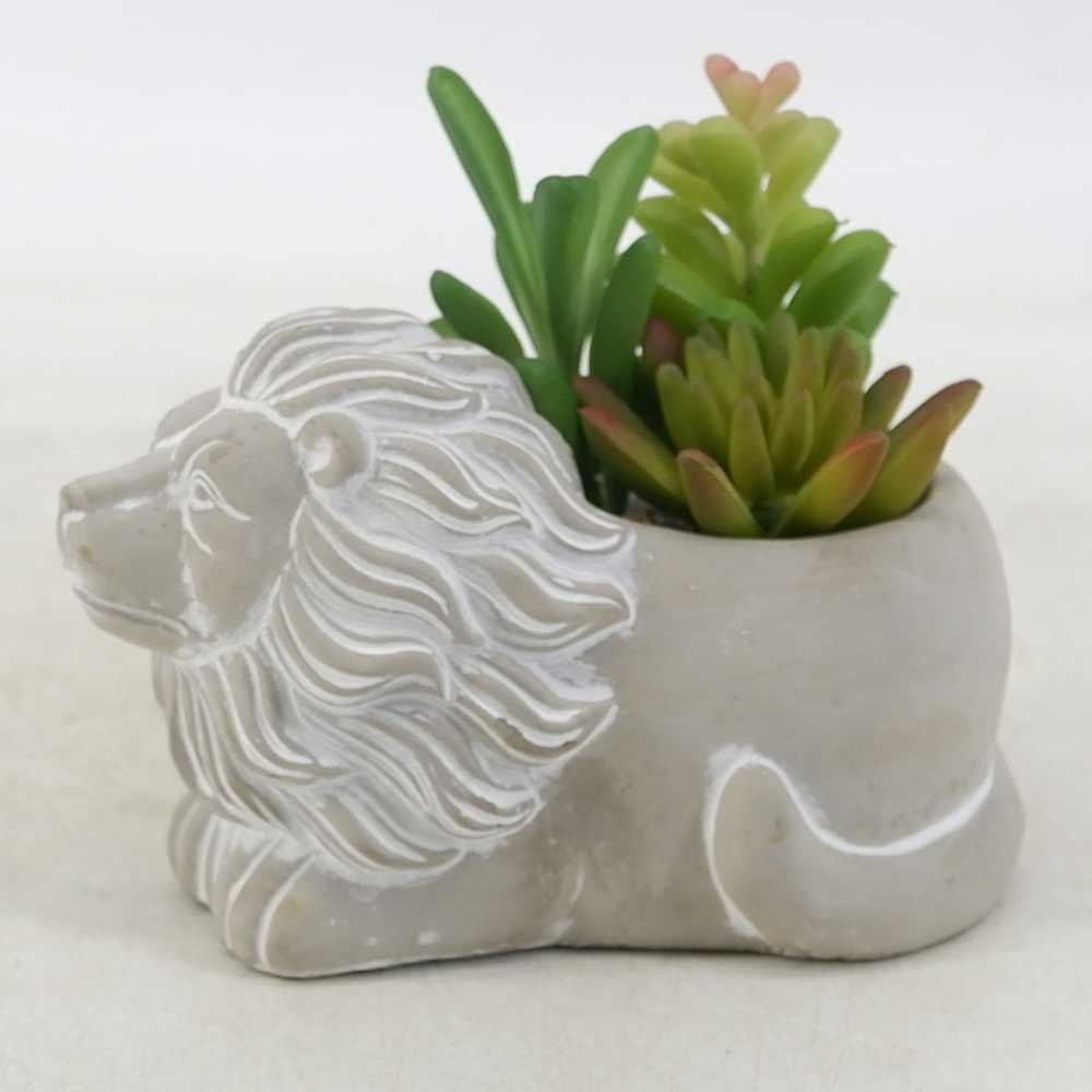 MC19-7561S 5.5＂H Succulent