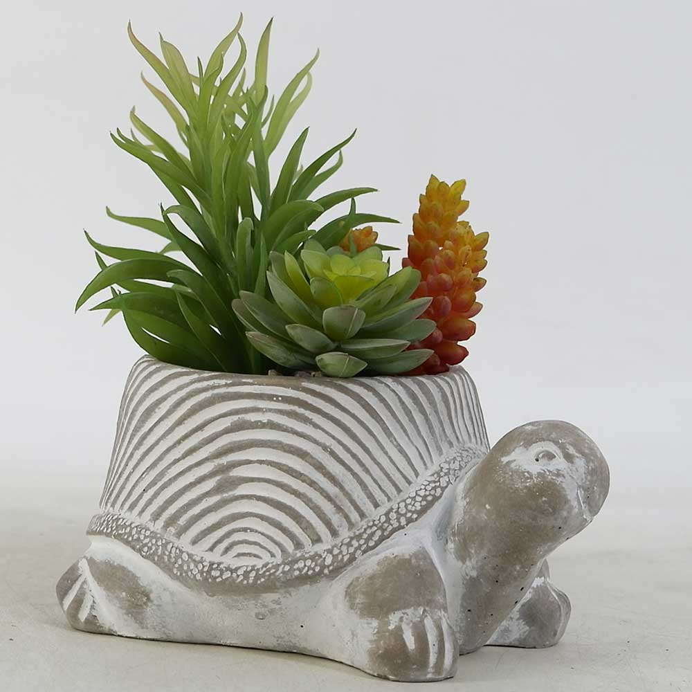 MC19-7563S 8＂H Mixed succulent