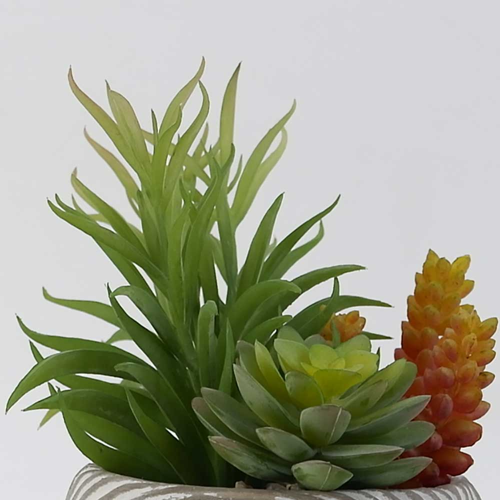 MC19-7563S 8＂H Mixed succulent